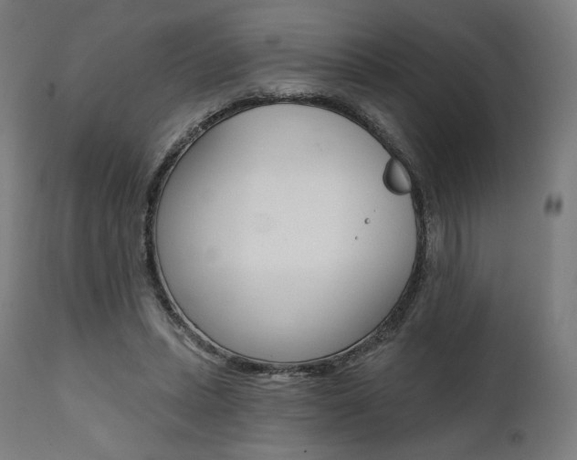 X0000112100447200908041116