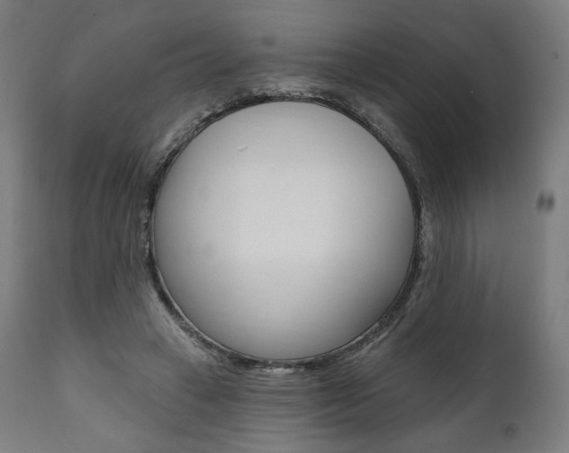 X0000112100449200908041116