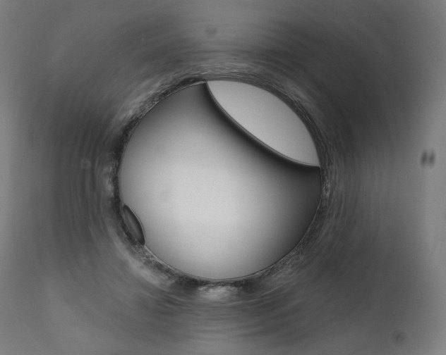 X0000112100452200908041116