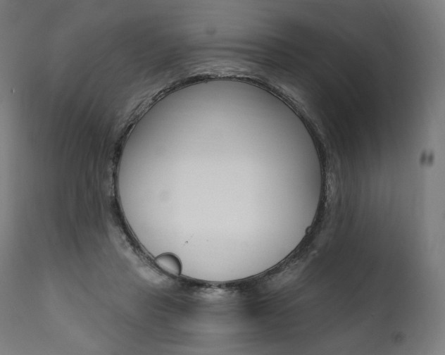 X0000112100453200908041116
