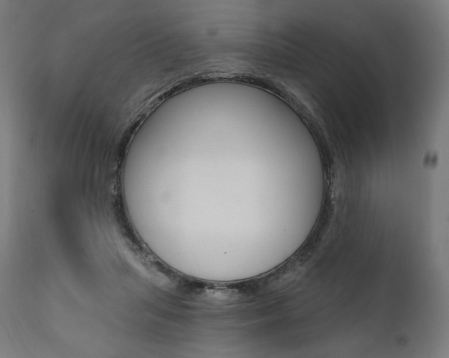 X0000112100455200908041116