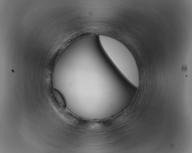 X0000112100456200908041116