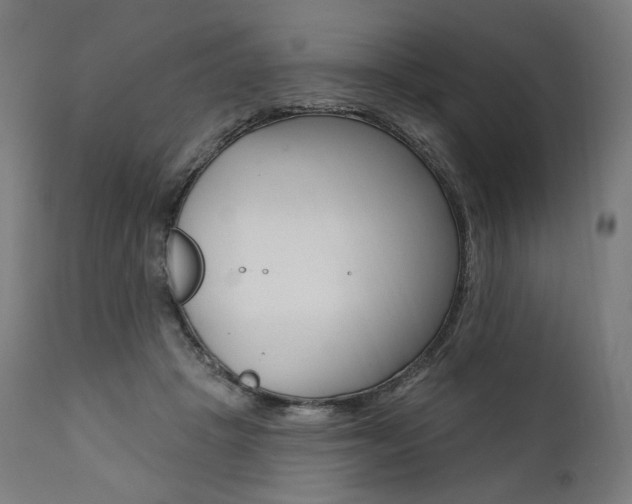 X0000112100457200908041116