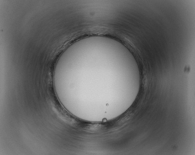 X0000112100459200908041116