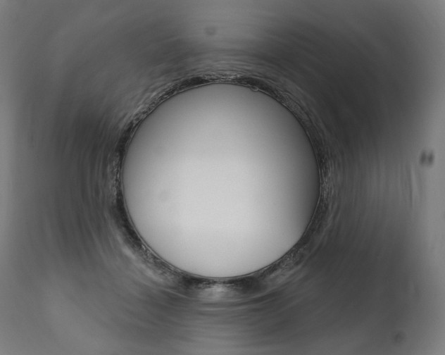 X0000112100460200908041116