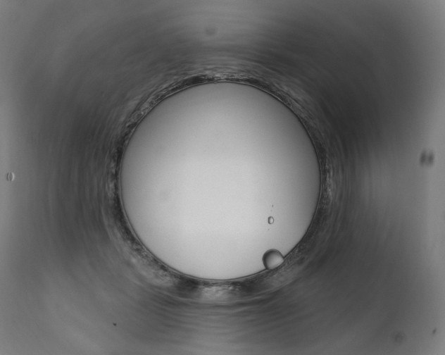 X0000112100461200908041116