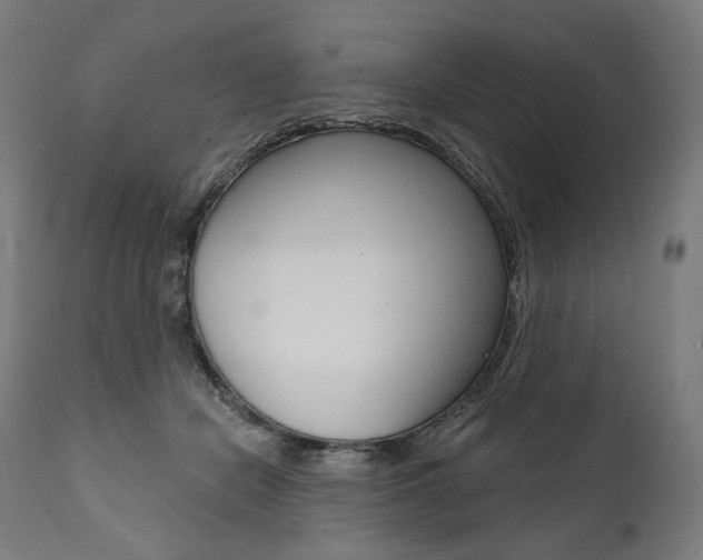 X0000112100462200908041116