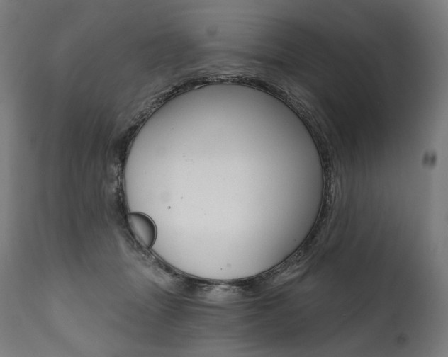 X0000112100463200908041116