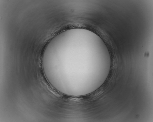 X0000112100465200908041116