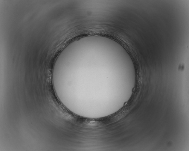 X0000112100467200908041116