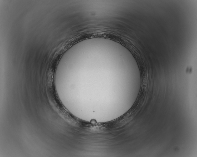 X0000112100468200908041116