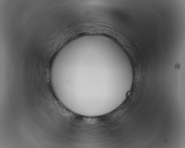 X0000112100469200908041116