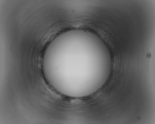 X0000112100470200908041116