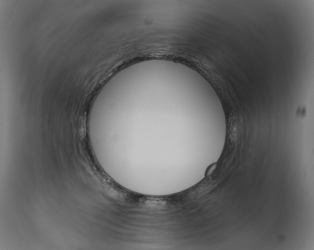 X0000112100471200908041116