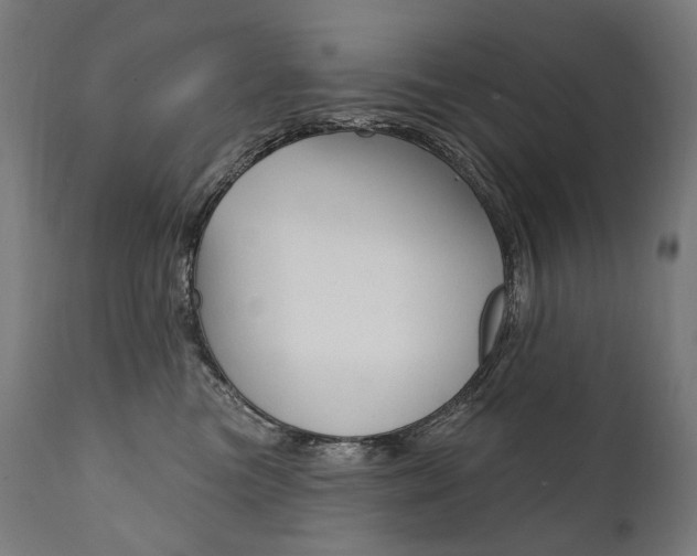 X0000112100473200908041117