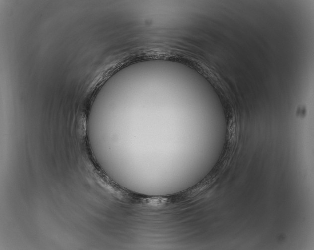 X0000112100474200908041117