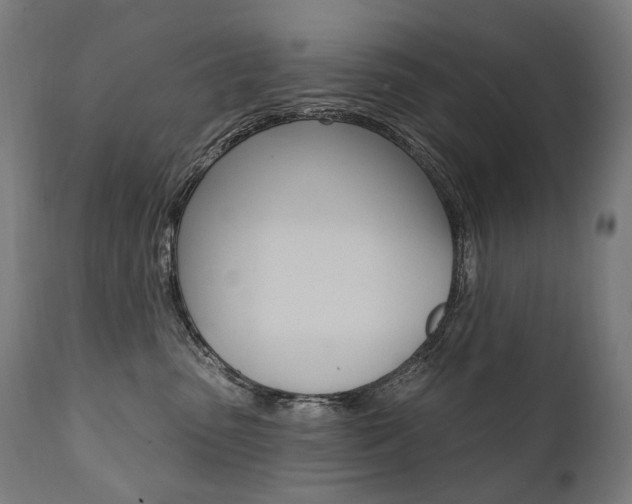 X0000112100475200908041117