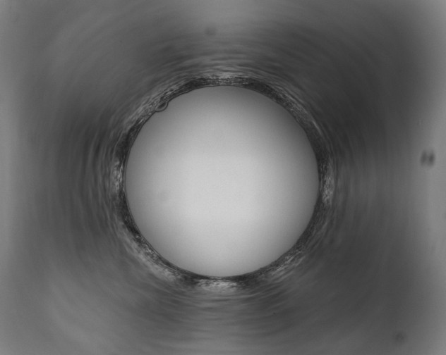 X0000112100476200908041117