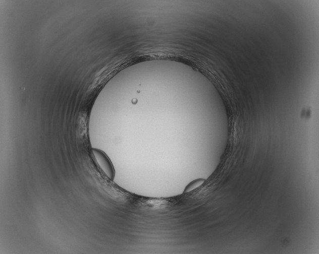 X0000112100478200908041117