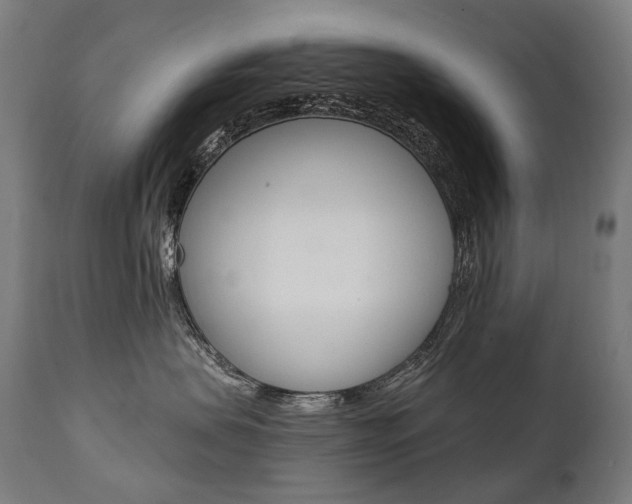 X0000112100479200908041117