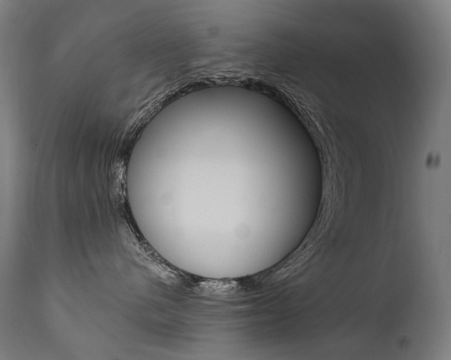 X0000112100480200908041117