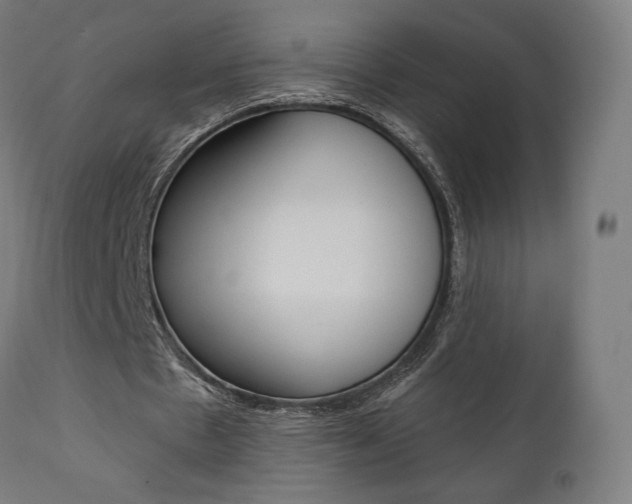 X0000112100481200908041116