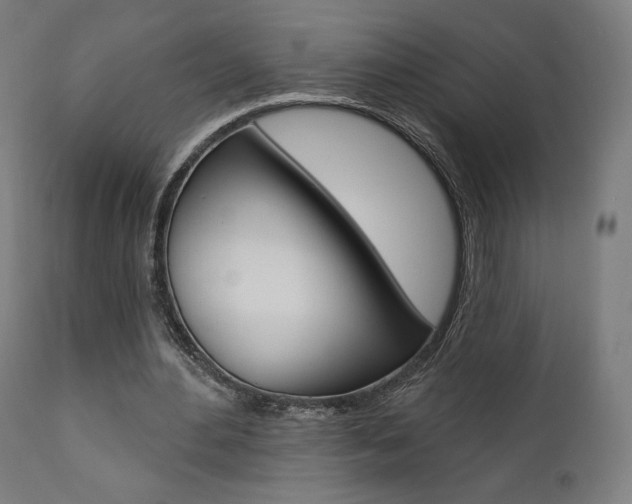 X0000112100484200908041116