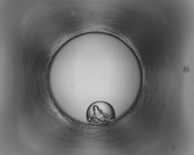 X0000112100485200908041116