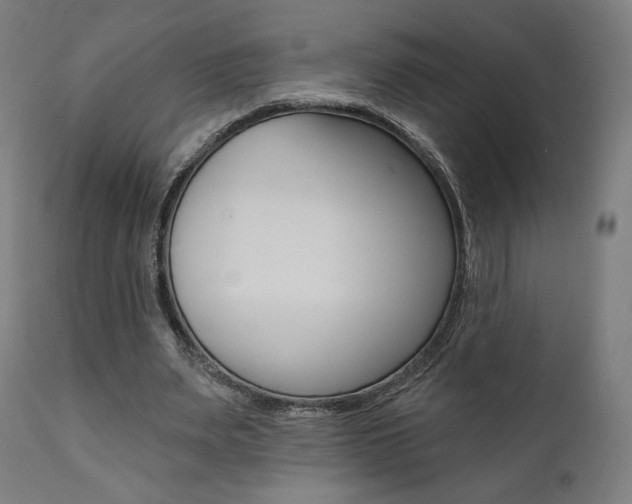 X0000112100487200908041116