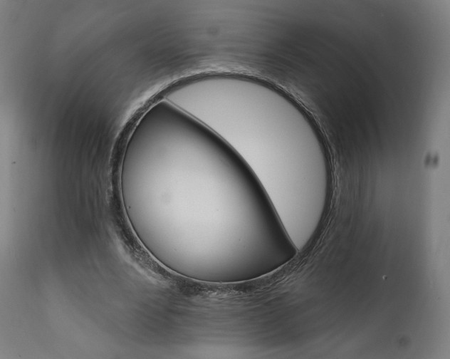 X0000112100488200908041116