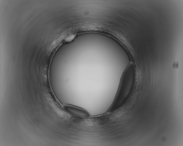 X0000112100489200908041116