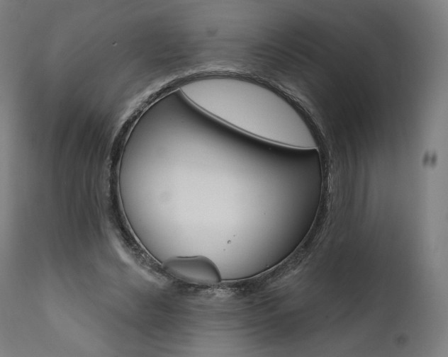 X0000112100492200908041116