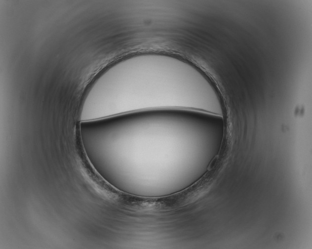 X0000112100493200908041116