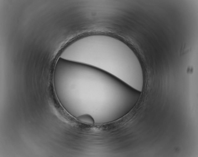X0000112100496200908041116