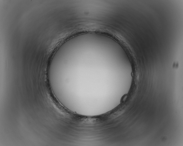 X0000112100497200908041116