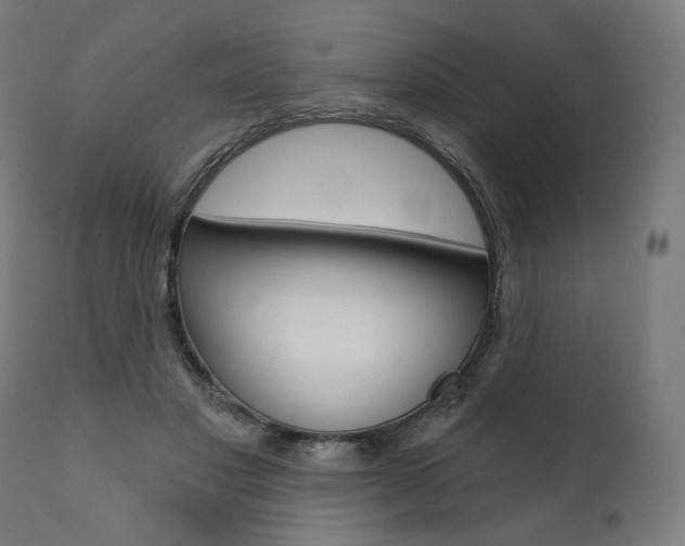 X0000112100501200908041116