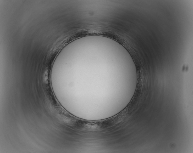 X0000112100502200908041116