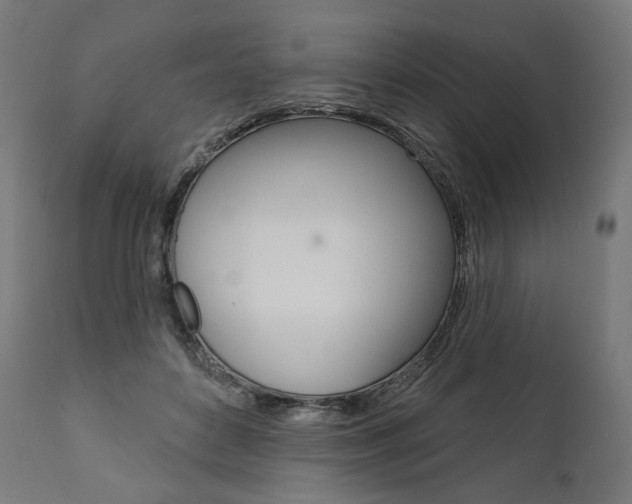 X0000112100504200908041116