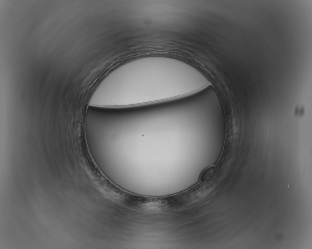 X0000112100505200908041116