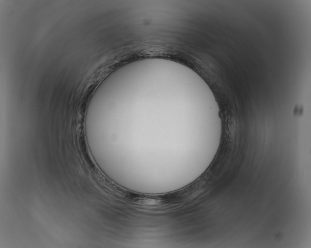 X0000112100507200908041116