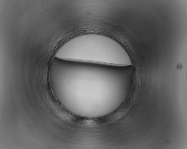 X0000112100509200908041116
