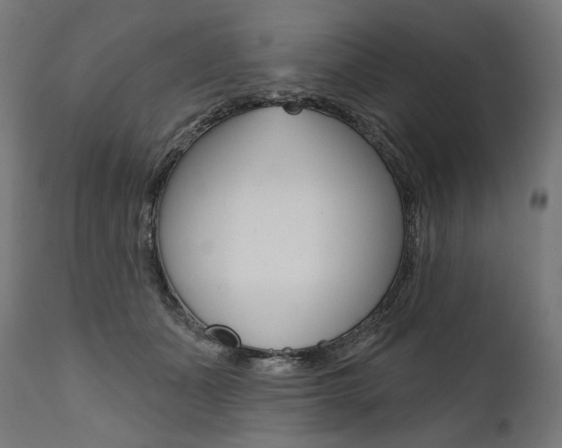 X0000112100511200908041116