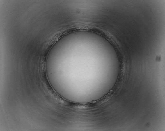 X0000112100513200908041116