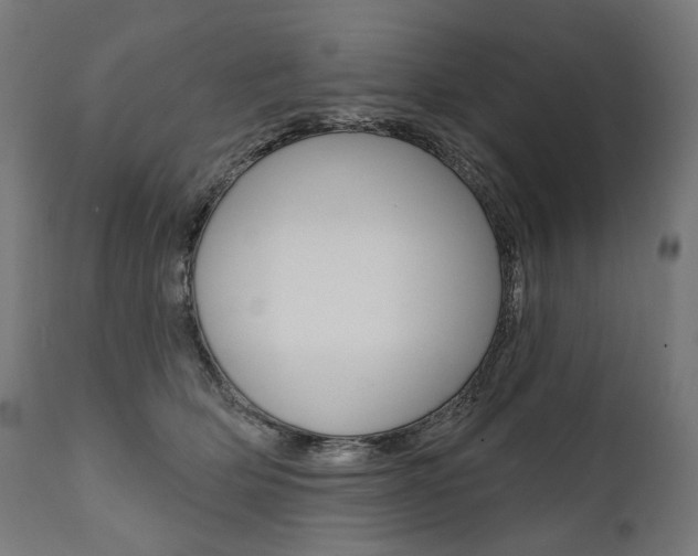 X0000112100514200908041115