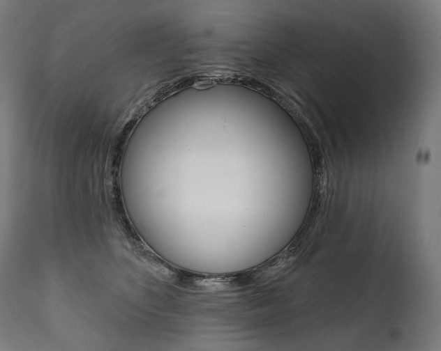 X0000112100516200908041115