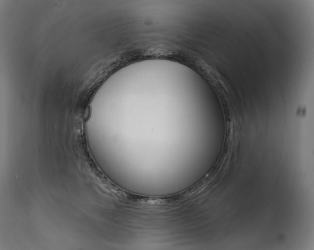 X0000112100517200908041115