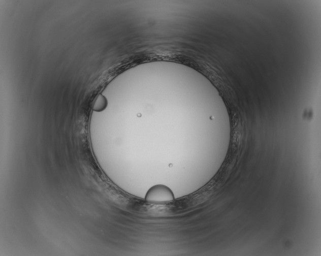 X0000112100518200908041115