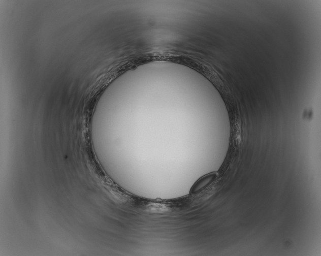 X0000112100519200908041115