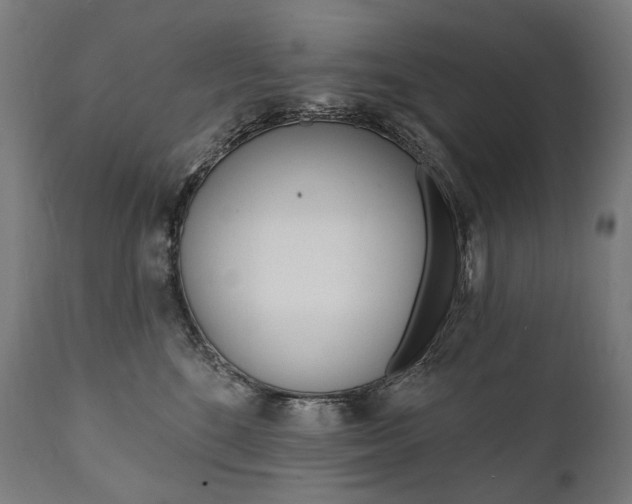 X0000112100520200908041115