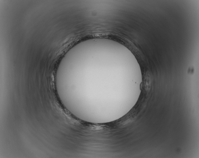 X0000112100523200908041115